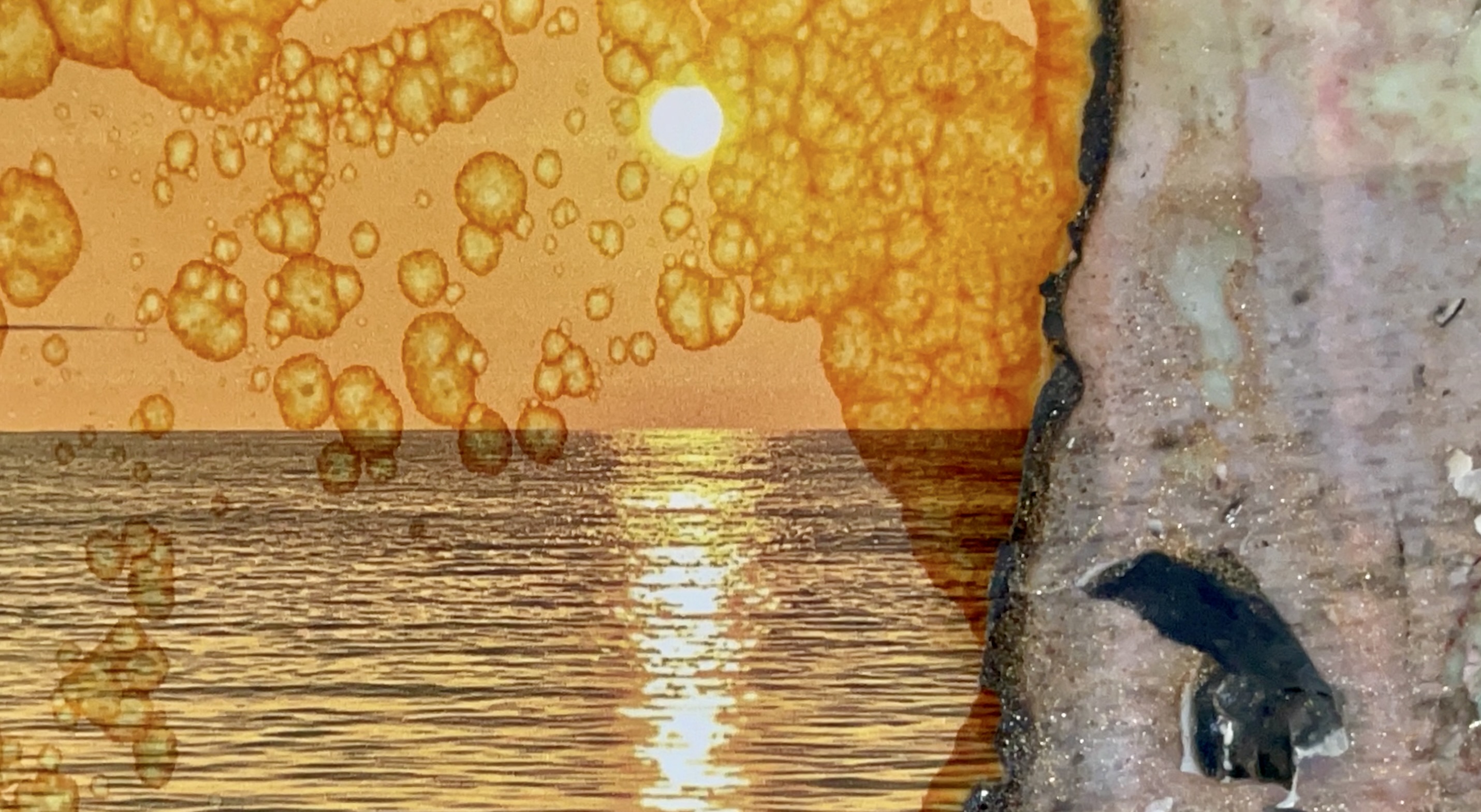 Cinq minutes au pays où coule le miel 